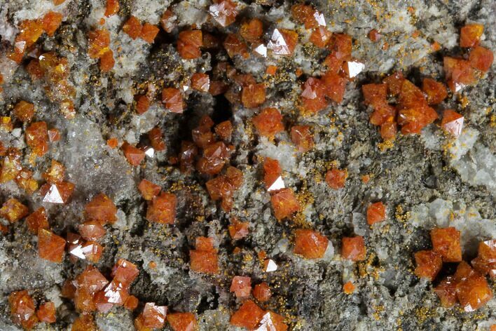 Red-Orange Bipyramidal Wulfenite Crystals - Melissa Mine, Arizona #118996